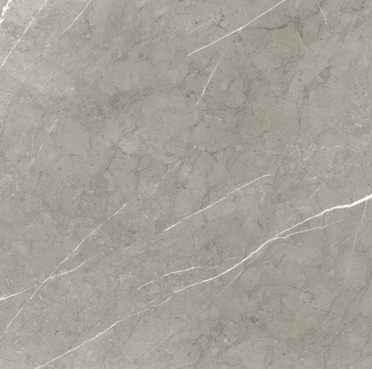 bright and shiny - bb6ntt9102p 60*60 полированный Cерый