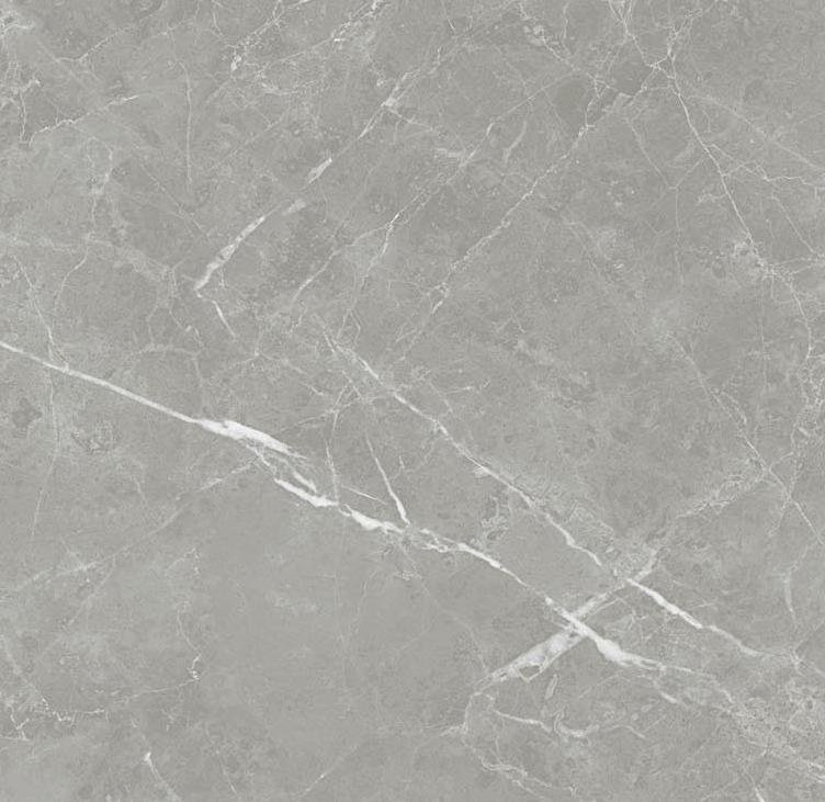 pietra - pt6ntt1102l 60*60 лаппатированный темный Cерый