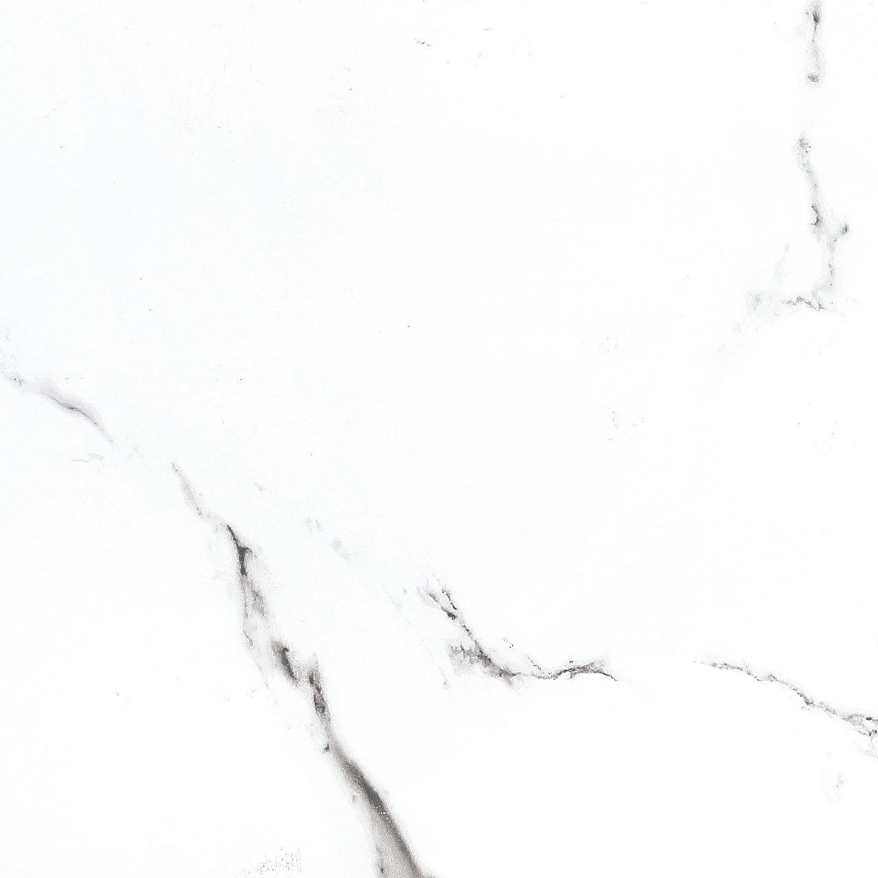 bright and shiny - bb6ntt9100p 60*60 полированный Белый