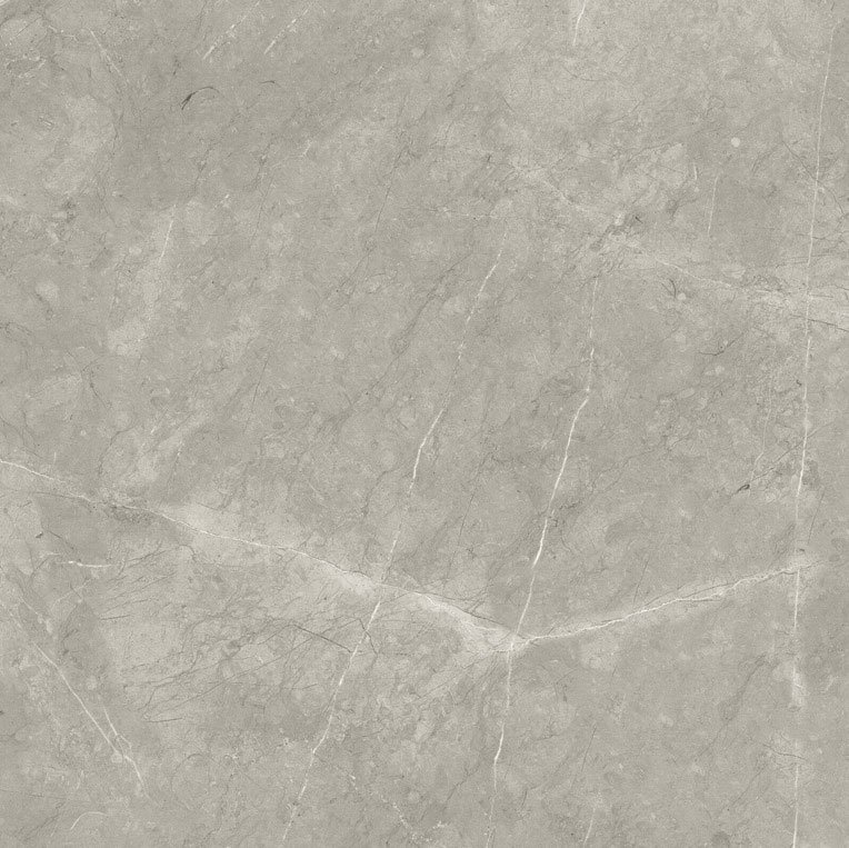 bright and shiny - bb6ntt9102p 60*60 полированный Cерый