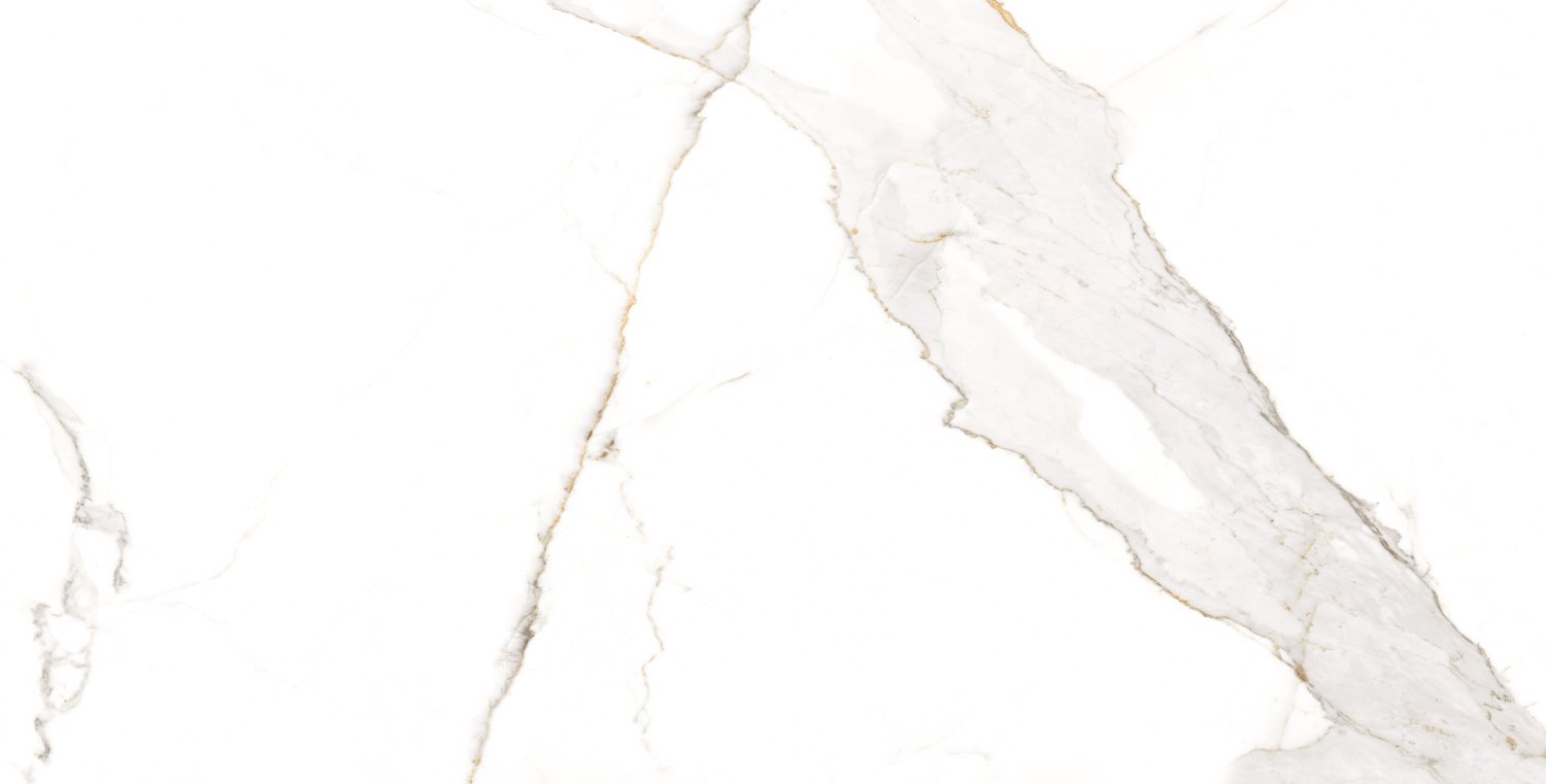 керамогранит calcatta white carving rectificado 60x120 Белый