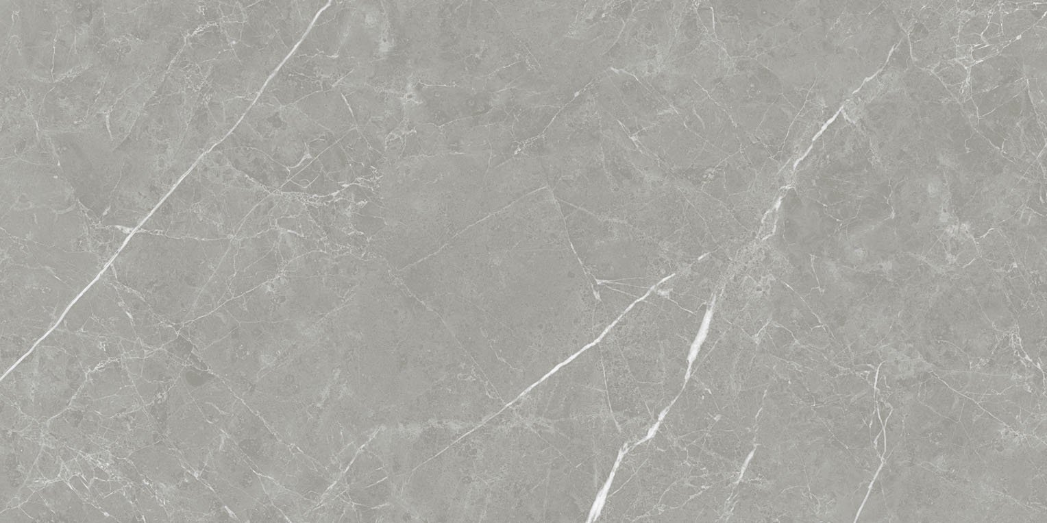 pietra - pt612ntt1102l 60*120 лаппато темный Cерый