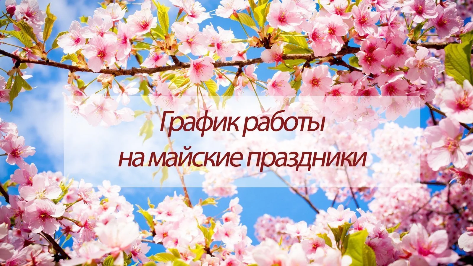 График работы магазина на майские праздники